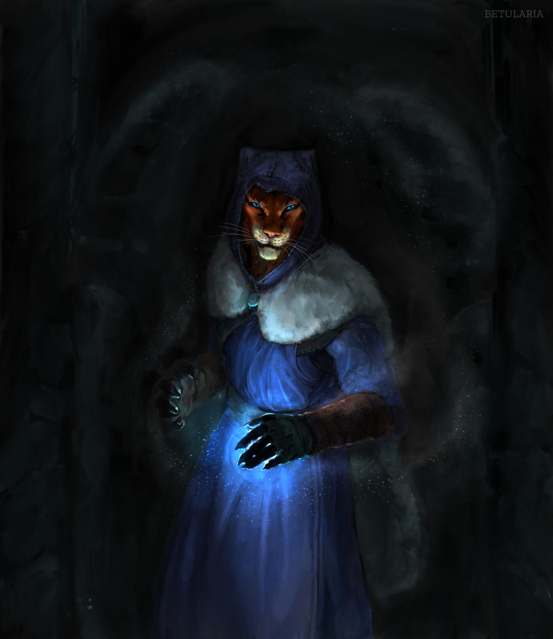 Fanart of Skyrim Mod &quot;Khajiit Will Follow&quot;